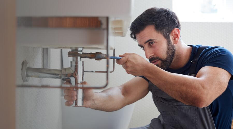 Trap Repair/Replacement in Woodville, OH